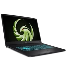 Ноутбук MSI Bravo 17 D7V (D7VFK-091XPL): Экран 17.3" IPS (1920x1080) FullHD