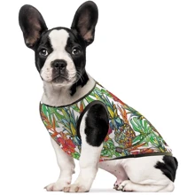 Борцовка Pet Fashion РИО S (4823082410576): Тип Майки