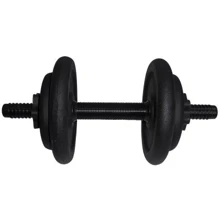 Гантель Newt 8.5 кг наборная стальная (NE-300-GP009): Вес гантели, кг 8.5