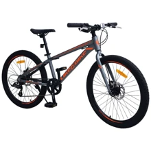 Велосипед подростковый 2-х колёсный 24" A212411 (RL7T) LIKE2BIKE Raft, серый матовый: Диаметр колес, дюймов 24