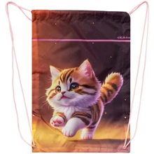 Сумка для взуття CLASS Kitty (2535C): Стать для дівчаток