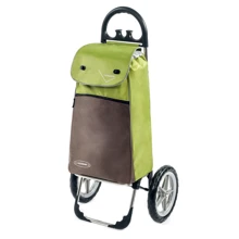 Сумка-тележка Aurora Vienna 55 Green/Brown (926846): Цвет зеленый