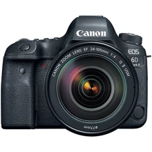 Canon EOS 6D Mark II (24-105mm) IS II USM: Тип матрицы CMOS