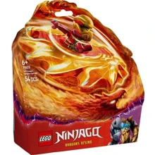 Конструктор LEGO Ninjago Дракон Кая Спин-джитсу 54 детали (71823): Серия NINJAGO