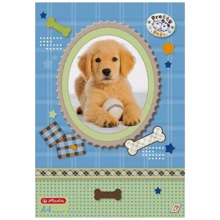 Альбом для рисования Herlitz A4 75л 70г Pretty Pets Dog: Тип скрепления Проклеен