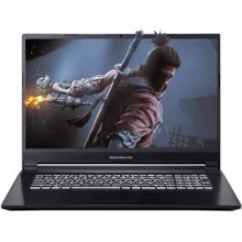 Ноутбук Dream Machines G1650-17 (G1650-17UA75) UA: Екран 17.3 " (1920x1080)