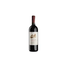 Вино Fontodi Chianti Classico (0,75 л.) (BW96168): Країна виробник Італія