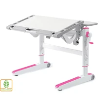Детский стол Mealux Ergowood L (BD-810 TG/PN): Тип Парта