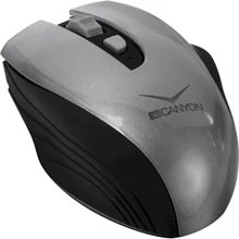 Мышь Canyon CNS-CMSW7G Gray: Интерфейс подключения Wireless, USB