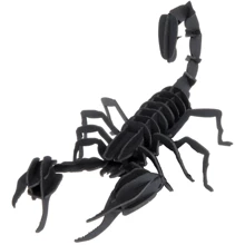 Скорпіон Scorpion Fridolin 3D модель: Вид Флора і фауна