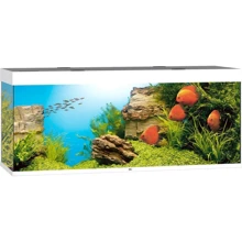 Аквариум Juwel Rio 450 LED 151x66x51 см белый (5450): Производитель Juwel