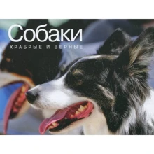 Собаки. Храбрые и верные: Производитель Колибри
