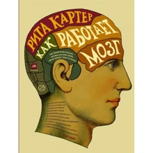 Рита Картер: Як працює мозок: Виробник АСТ