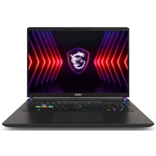 Ноутбук MSI Vector 16 HX A14V (A14VGG-296PL): Екран 16" IPS (2400x1600)