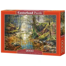 Пазлы Castorland Осенний лес 2000 элементов (C-200757): Производитель CASTORLAND