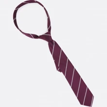 Галстук мужской Traum сливовый (8504-045): undefined undefined