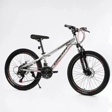 Спортивный велосипед Corso Concept 24" серый (CP-24902): Диаметр колес, дюймов 24