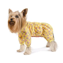 Дождевик Pet Fashion "БОННИ" S-2 арбуз (4823082411207): Тип Дождевики