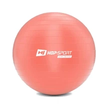 Мяч для фитнеса Hop-Sport HS-R055YB light pink 55 см Мяч для фитнеса Hop-Sport HS-R055YB light pink 55 см
