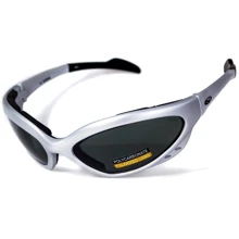 Спортивные очки Защитные очки с поляризацией Black Rhino Rhinolidz Polarized (gray), серые (4РИНО-20П): Назначение Для туризма и активного отдыха, Велосипедные