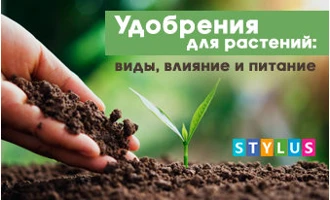 Удобрения для растений: виды, влияние и питание Удобрения для растений: виды, влияние и питание