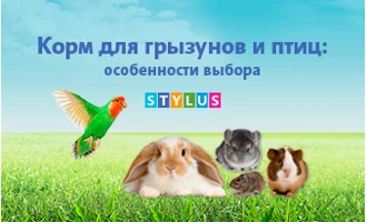 Корм для грызунов и птиц: особенности выбора Корм для грызунов и птиц: особенности выбора