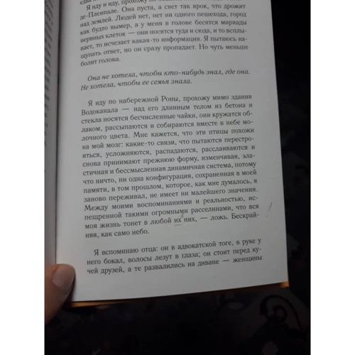 Моніка Сабола: Саммер: Кількість сторінок 208