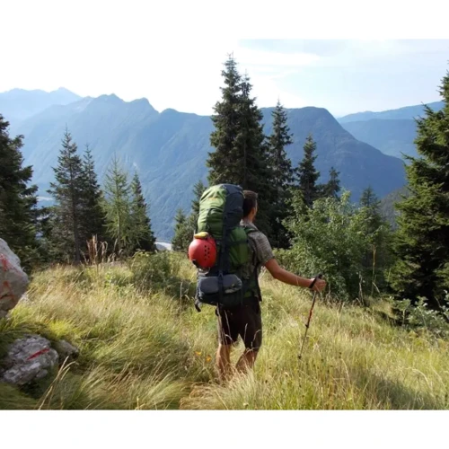 Рюкзак туристичний Рюкзак Pinguin Explorer 50 Khaki (PNG 373042)