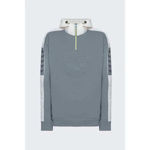 Спортивный худи Arena Padded Hoodie Team (004841-551) 50 серый с капюшоном