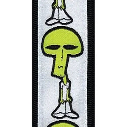 Ремень гитарный PLANET WAVES PW50JS06 Joe Satriani Guitar Strap Spaceman: Производитель PLANET WAVES