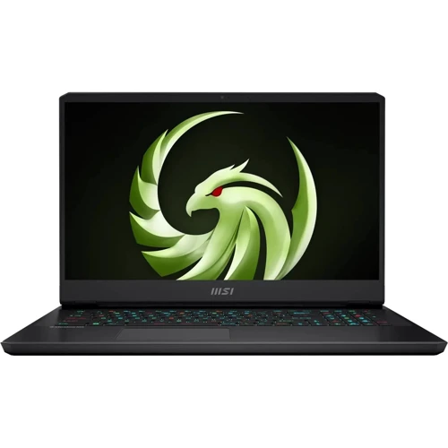 Ноутбук MSI Alpha 17C7VG (C7VG-035)
