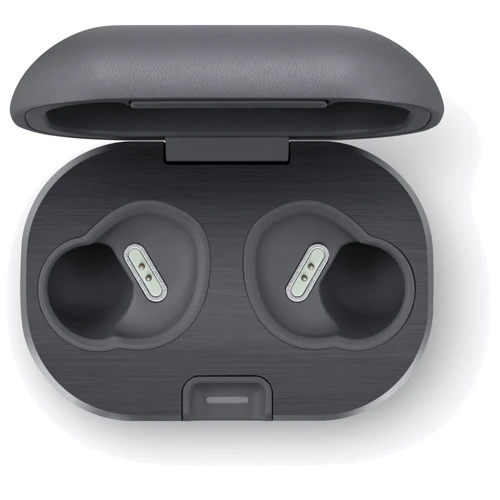 Наушники Bang & Olufsen Beoplay E8 Motion Graphite (1646701): Тип крепления без креплений