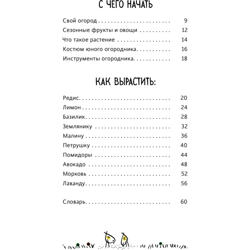 Тьерри Энинк: Огород круглый год. Твоя грядка на балконе: Количество страниц 60