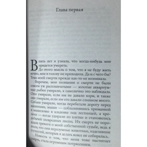 Сесілія Ахерн. Рік, коли ми зустрілися: Обкладинка М'яка