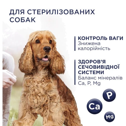Сухой корм Club 4 Paws Premium Adult Light Контроль веса для взрослых собак средних и крупных пород, склонных к набору веса 5 кг (4820215367868): Возраст Взрослые