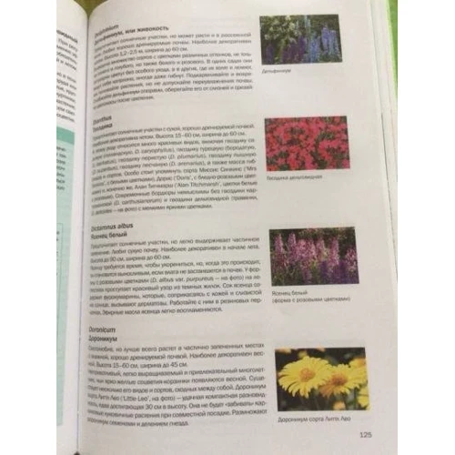 Алан Титчмарш: Большая книга цветовода: Количество страниц 320
