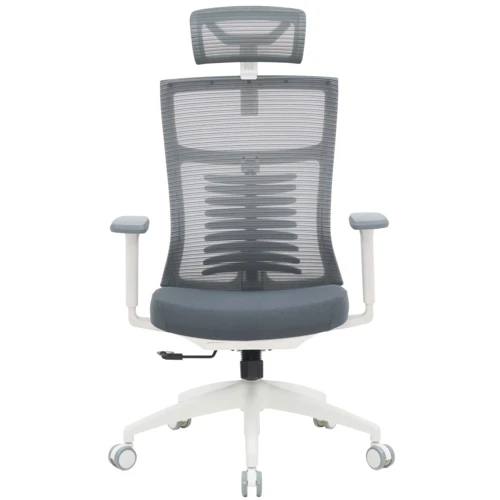 Офісне крісло OfficePro Balance (OC550-W-DG-DG): Тип для персоналу