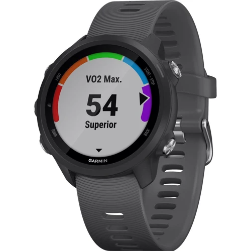 Смарт-часы Garmin Forerunner 245 Slate Gray (010-02120-00): Производитель Garmin