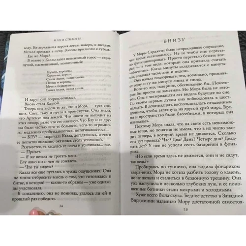 Меггі Стивотер: Синя лілія, лілія Блу: Жанр Фантастика і фентезі