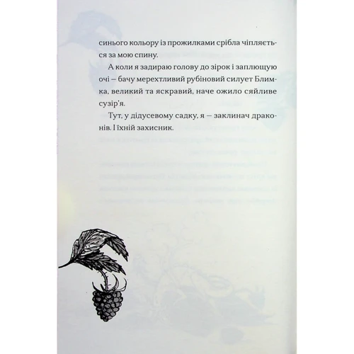 Енді Шепард: Хлопчик, який співав із драконами. Книга 5: Обкладинка Твердая