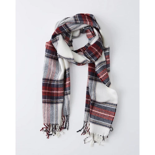 Женский палантин Abercrombie & Fitch разноцветный (AF8277W)