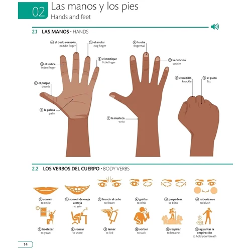 Illustrated Dictionary Spanish-English фото 6