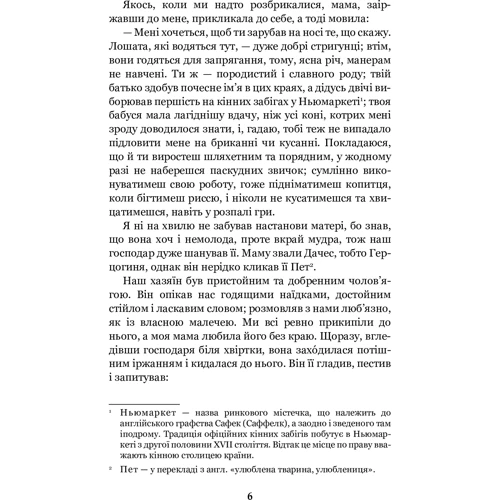 Анна Сьюел: Чорний красунь: Количество страниц 232