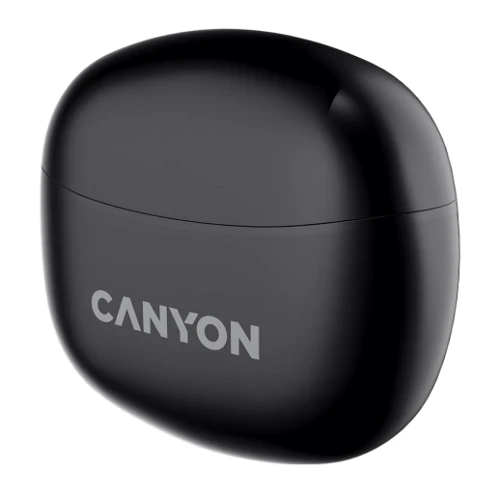 Наушники Canyon TWS-5 Black (CNS-TWS5B): Тип крепления без креплений