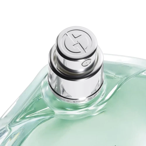 Парфюмированная вода Giorgio Armani Acqua di Gioia 100 ml: Аромат Цветочный