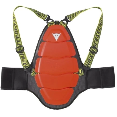 Защита спины Dainese Kid Back Protector 01 Evo J/M 002 (4879887) фото 1