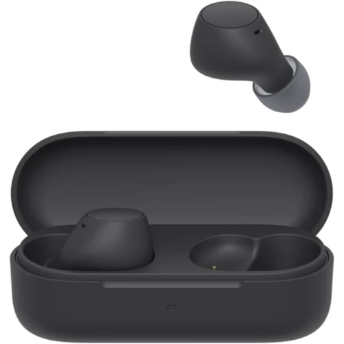 Навушники Sony WF-C510 Black (WFC510B.CE7): Тип конструкції вакуумные