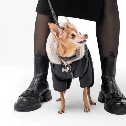 Комбинезон для собак Pet Fashion BLACK M (4823082428649): Тип Комбинезоны