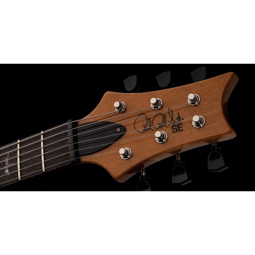Электрогитара PRS SE PAUL'S GUITAR (FADED BLUE BURST): Тип Электрогитара
