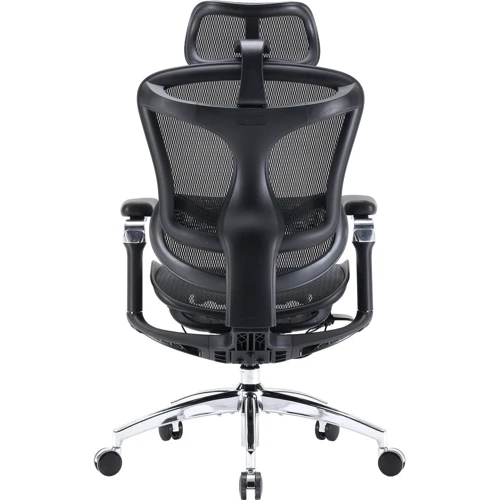 Офисное кресло Sihoo DORO C300 Pro Mesh Black (DORO-C300-PRO-M101)